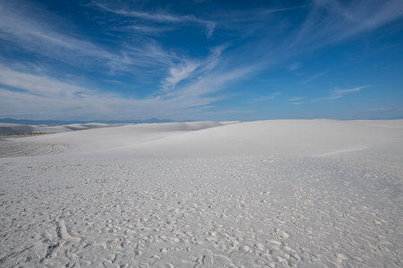 A beautiful view of the famous White Sands National Park in New Mexico, United States on a sunny dayの写真素材