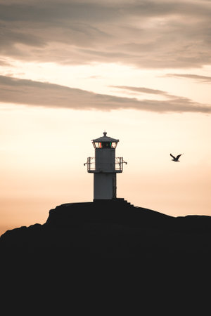 A vertical shot of the beautiful view of a watching tower on mountain with bird flying during sunsetの写真素材