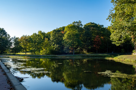 A beautiful lake in Forest Park Springfield, Massachusettsの写真素材