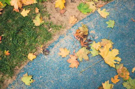 Fallen autumn leaves on green grass and blue textured ground.の写真素材