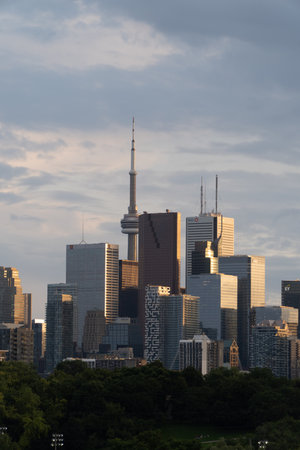 A vertical shot of modern skyscrapers surrounded by greenery under the sunlight in Toronの写真素材