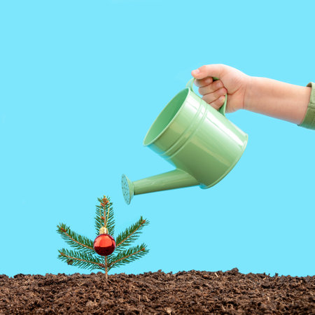 A close-up shot of Christmas fir twig with one ornament and a hand with a watering can on a blue background.の写真素材
