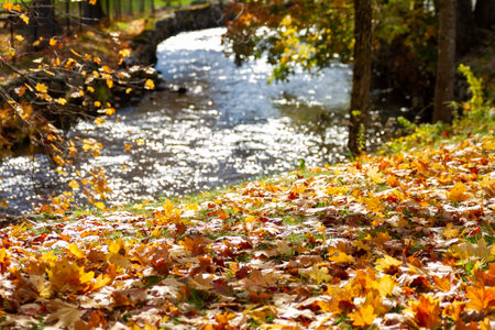 A beautiful nature view with river in Stafford Springs Connecticutの写真素材