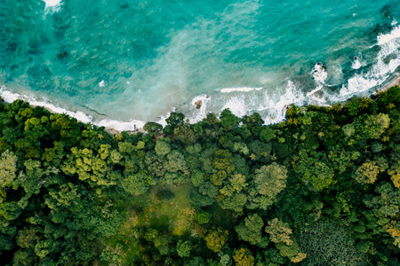 A top view shot of a beautiful island in Costa Rica, USAの写真素材