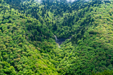 The beautiful view of the green hill. Great Smoky Mountains National Park, USA.