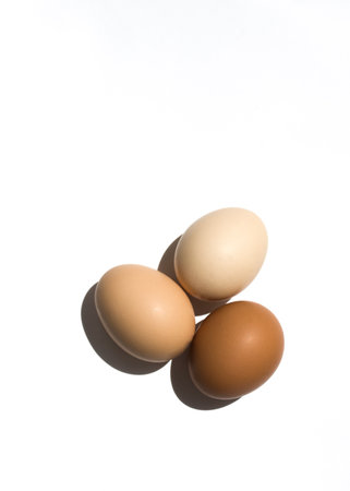 Which one would you choose? Minimalistic photo of three different eggs.の写真素材