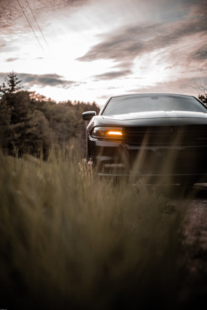 A selective focus of a modern shiny black car parked in a field under the sunlight