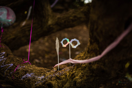 A closeup of birthday decorations outdoors on a tree trunkの写真素材