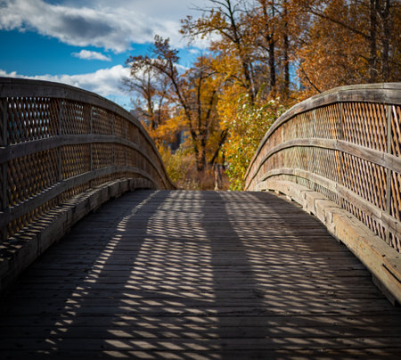 A wooden arch bridge leading into autumnal forestry.の写真素材