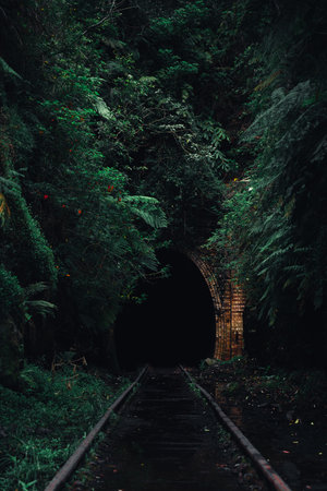 A vertical shot of a railway going to tunnel in a magical dark forest.の写真素材