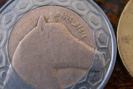 Close-up shot of Algerian Metal Currency