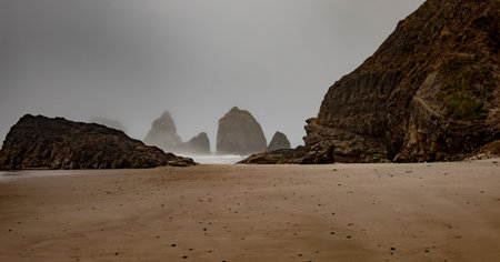 A group of rough brown rock formations on a sandy beach during a foggy afternoonの写真素材
