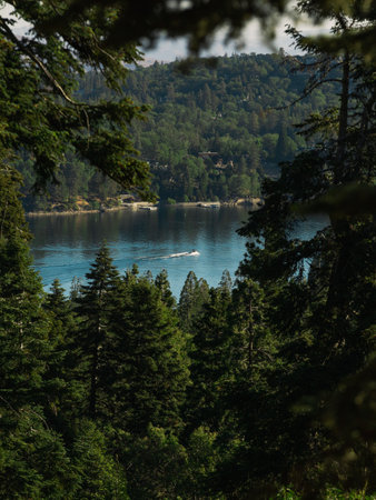 A natural view of a calm lake and green forest in the countryside