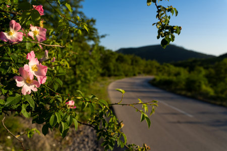 A beautiful beach view on a sunny dayの写真素材