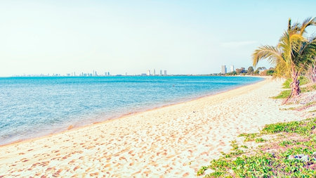 A beautiful sunny shore with palm trees in Thailandの写真素材