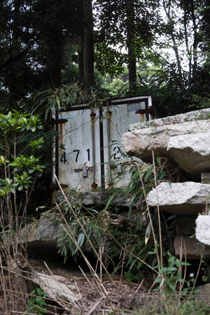 A vertical shot of an abandoned numbered truck in a forestの写真素材