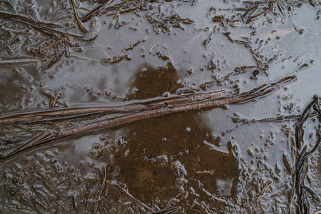 A closeup of rainwater on the dirt in a park in the daylightの写真素材