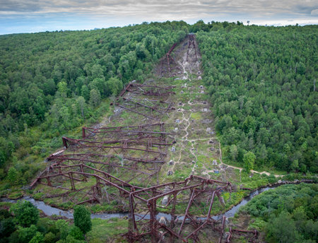 The collapsed Kinzua bridge amid dense vegetation against a cloudy sky in State Park Mount in USAの写真素材
