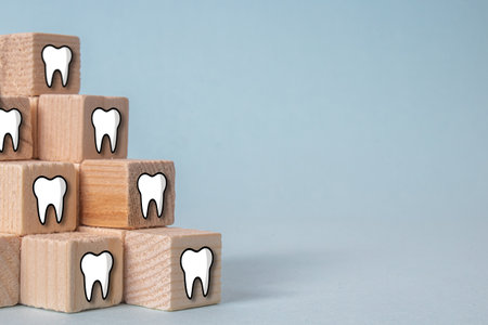 A closeup of the wooden blocks with teeth.の写真素材