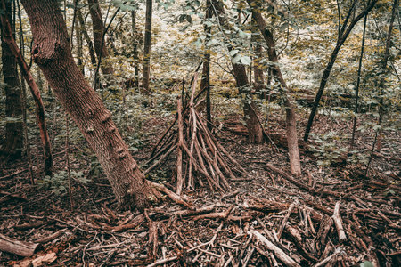 The cut firewood in the forest ground