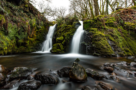 A beautiful shot of a waterfall in a forest during the dayの写真素材