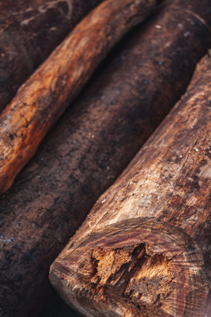 A vertical shot of cut woodsの写真素材