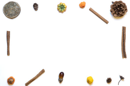 The frame is made of eucalyptus branches, dried leaves on white backgroundの写真素材