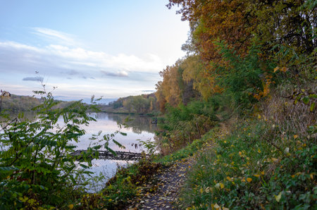 A beautiful view of a calm lake surrounded by autumn treesの写真素材