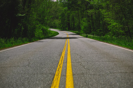 An empty street with green forest on both sidesの写真素材