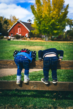 A vertical shot of two children on a wooden fence having funの写真素材