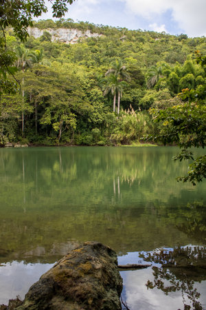 The Canimar River in the province of Matanzas, Cubaの写真素材
