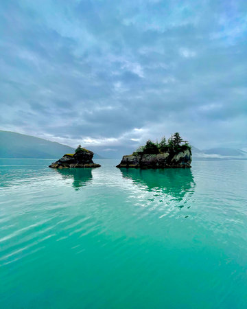A beautiful shot of a forest in the middle of a sea under the cloudy skies