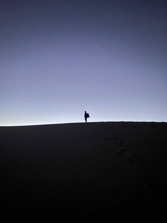 A vertical shot of the silhouette of a person standing in the field under a blue clear skyの写真素材