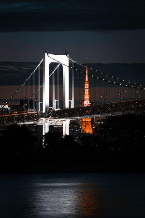 A vertical shot of the Statue of Liberty in Odaiba area, Tokyo, Japan at nightの写真素材