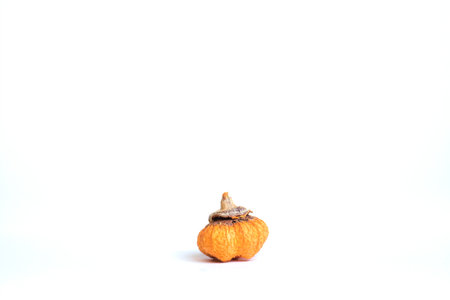 A close-up shot of a dried pumpkinの写真素材