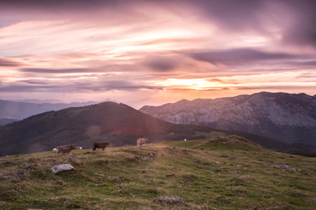 sunset in urkiola natural parkの写真素材