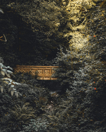 A vertical shot of a small wooden bridge among the trees in tの写真素材