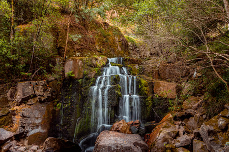 A beautiful shot of a waterfall in the forestの写真素材