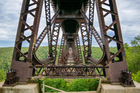 The Kinzua Bridge amid dense vegetation in State Park Mount in USAの写真素材