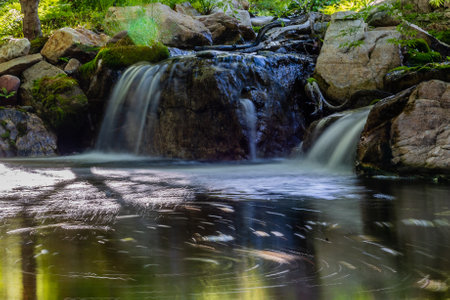 A beautiful flowing waterfall in a forest lakeの写真素材