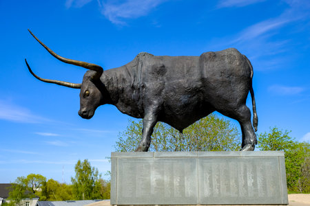 A big metal Bull Statue with long horns on a sunny day in  Rakvere, Estoniaの写真素材