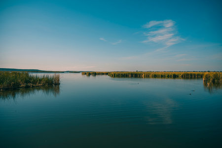 A beautiful landscape of grass on a lake.の写真素材
