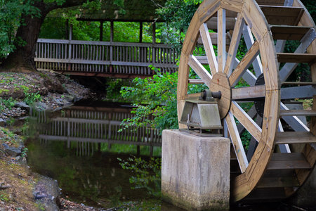 An old working watermill in a park surrounded by treesの写真素材