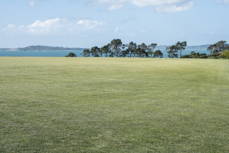 The beautiful shot of greenfield landscapeの写真素材