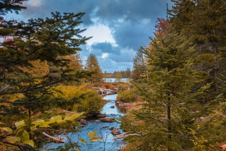 The beautiful view of the autumn foliage with a river. Moosehead lake, Maine, United States.の写真素材