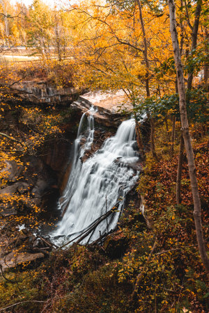A beautiful waterfall in the forest in the fall colorsの写真素材