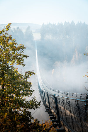 A vertical shot of a ridge in fog during falls in a forestの写真素材