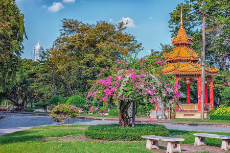 A beautiful view of Lumphini Park in Bangkok city with green and purple treesの写真素材
