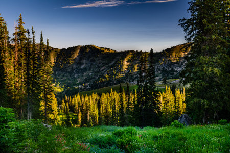 A beautiful view of green forests and cliffs under a blue skyの写真素材