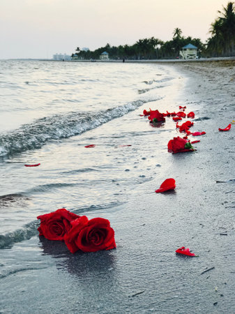 A vertical shot of red roses lying in a beach which is being washed off by the waves of a seaの写真素材